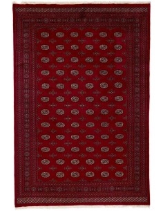 Hand made rug Bukhara extra fine Pakistan cm.246x363