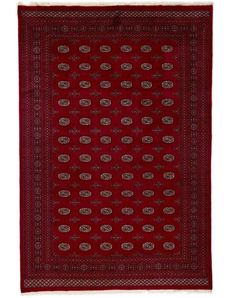 Hand made rug Bukhara extra fine Pakistan cm.246x363