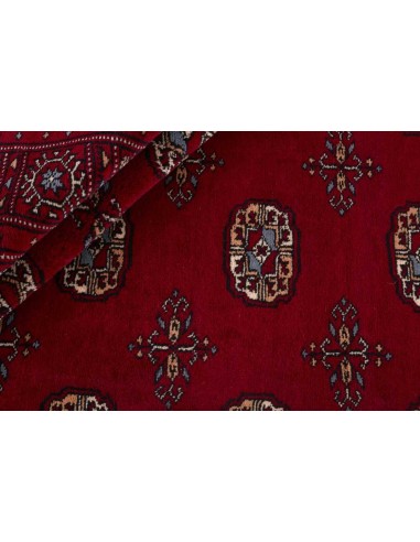 Hand made rug Bukhara extra fine Pakistan cm.246x363
