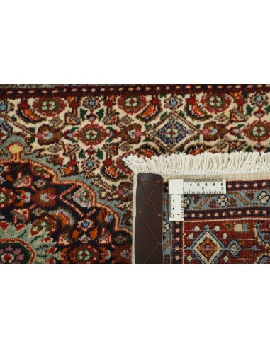 Hand made rug Moud Mahi Persia cm.73x196