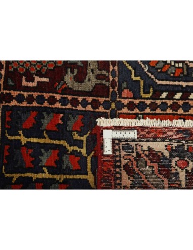 Hand made rug Bakhtiyar Persia cm.153x299