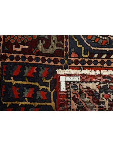 Hand made rug Bakhtiyar Persia cm.153x299