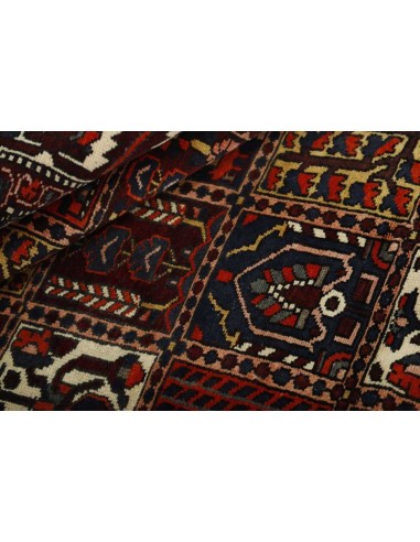 Hand made rug Bakhtiyar Persia cm.153x299