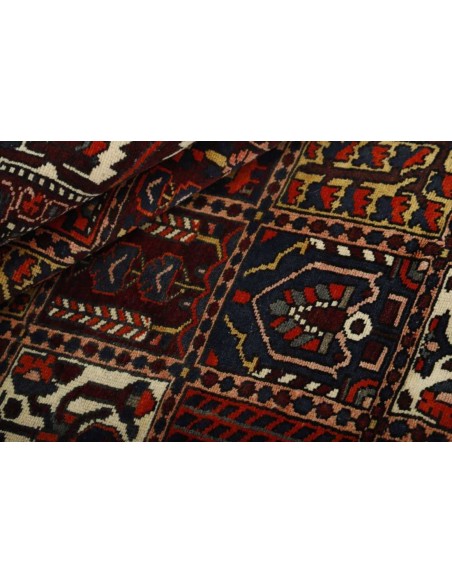 Hand made rug Bakhtiyar Persia cm.153x299