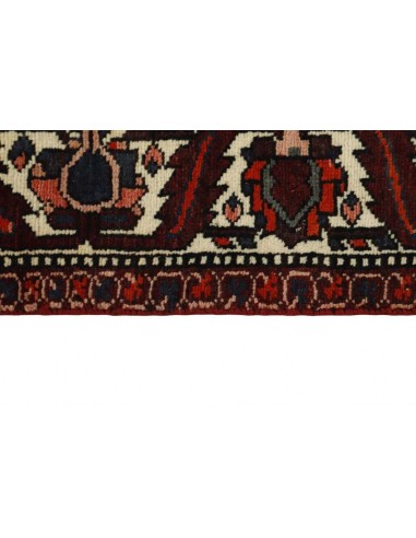 Hand made rug Bakhtiyar Persia cm.153x299