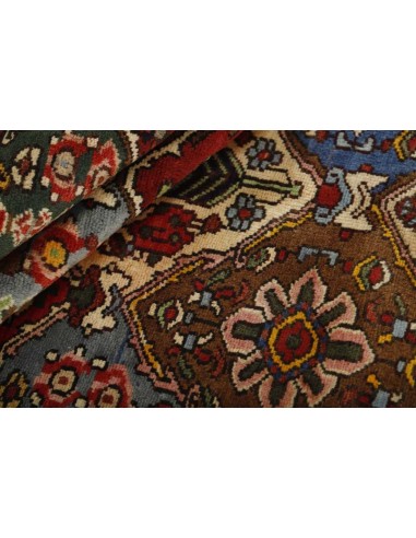 Hand made rug Bakhtiyar Persia cm.151x309