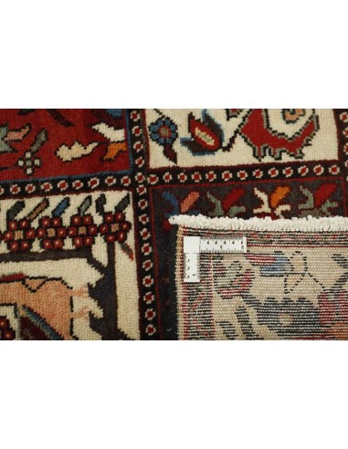 Hand made rug Bakhtiyar Persia cm.172x308