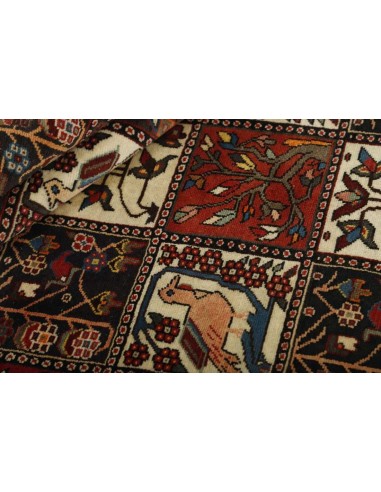 Hand made rug Bakhtiyar Persia cm.172x308