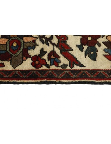 Hand made rug Bakhtiyar Persia cm.172x308