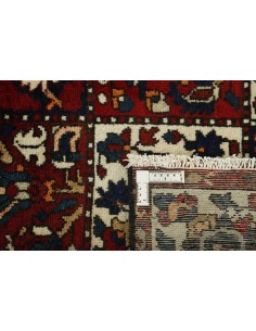 Hand made rug Bakhtiyar Persia cm.167x307 2