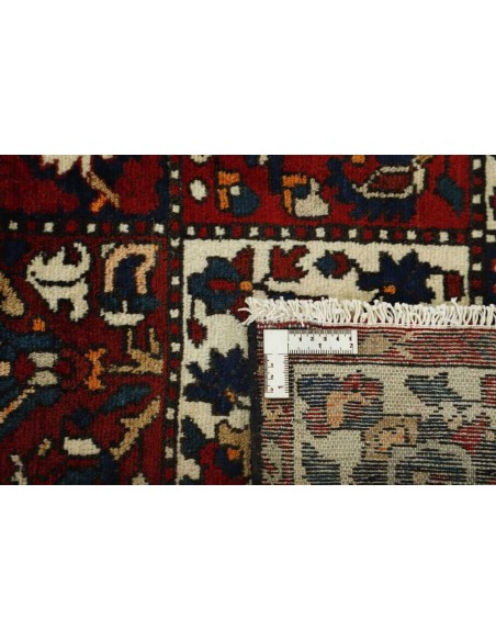 Hand made rug Bakhtiyar Persia cm.167x307