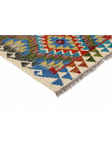 Hand made rug Afghan Kilim Afghanistan cm.61x199