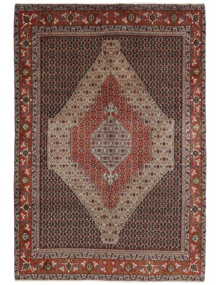Hand made rug Seneh Persia cm.205x295
