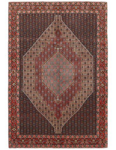 Hand made rug Seneh Persia cm.204x300