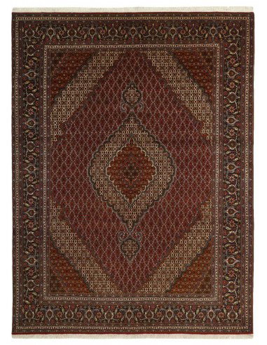 Hand made rug Tabriz 40 Mahi Persia cm.251x340