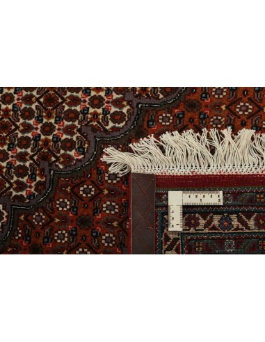 Hand made rug Tabriz 40 Mahi Persia cm.251x340