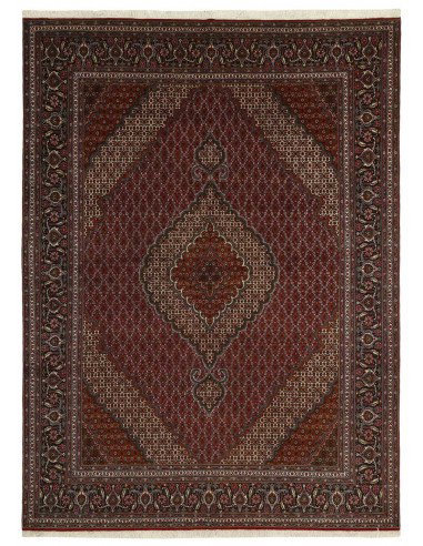 Hand made rug Tabriz 40 Mahi Persia cm.250x340