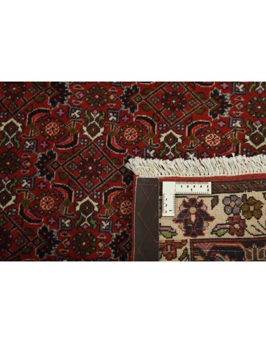 Hand made rug Bidjar Zandjan Persia cm.205x285