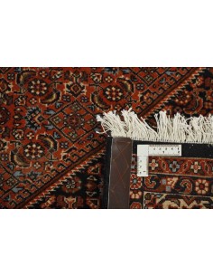 Hand made rug Bidjar Zandjan Persia cm.169x241 2