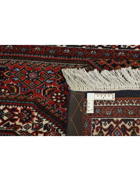 Hand made rug Bidjar Zandjan Persia cm.92x165