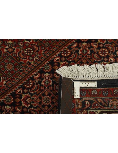 Hand made rug Bidjar Zandjan Persia cm.248x355