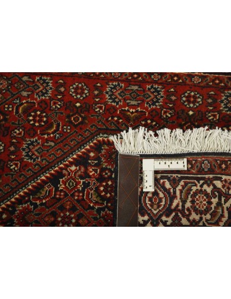 Hand made rug Bidjar Zandjan Persia cm.78x204