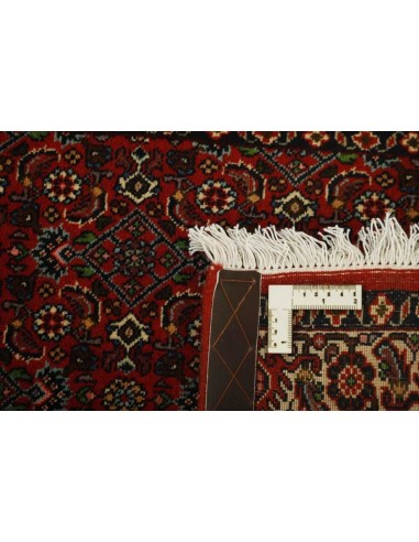 Hand made rug Bidjar Zandjan Persia cm.74x304