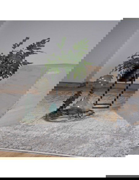 Tappeto Obsession Phoenix 120 tortora