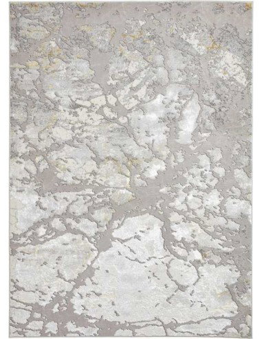 tappeto moderno Apollo 2677 Grey/Gold