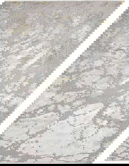 tappeto moderno Apollo 2677 Grey/Gold