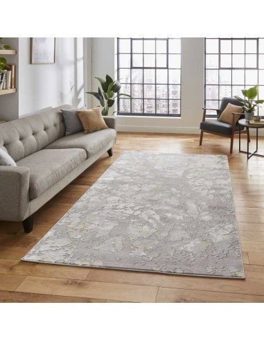 tappeto moderno Apollo 2677 Grey/Gold