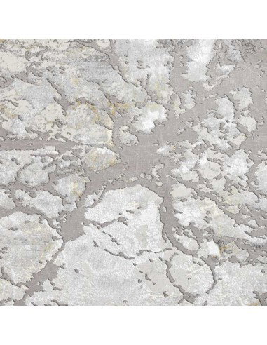 tappeto moderno Apollo 2677 Grey/Gold