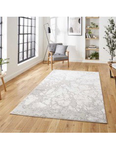tappeto moderno Apollo 2677 Grey/Ivory 2