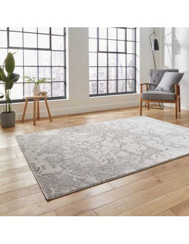 tappeto moderno Apollo 2677 Grey/Ivory