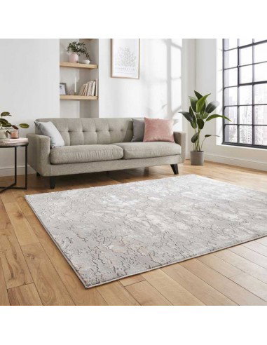 tappeto moderno Apollo 2677 Grey/Rose