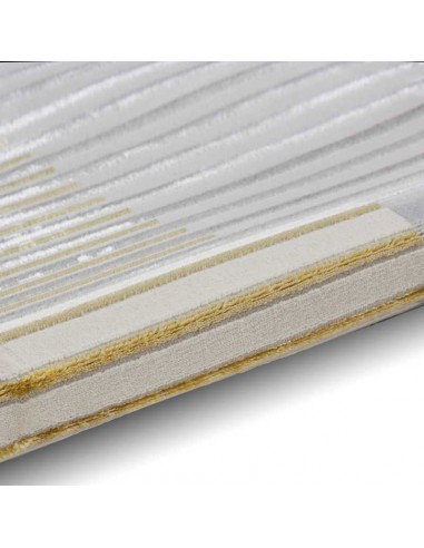 tappeto moderno Apollo 2681 Grey/Gold