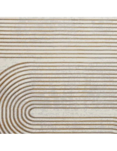 tappeto moderno Apollo 2683 Grey/Gold
