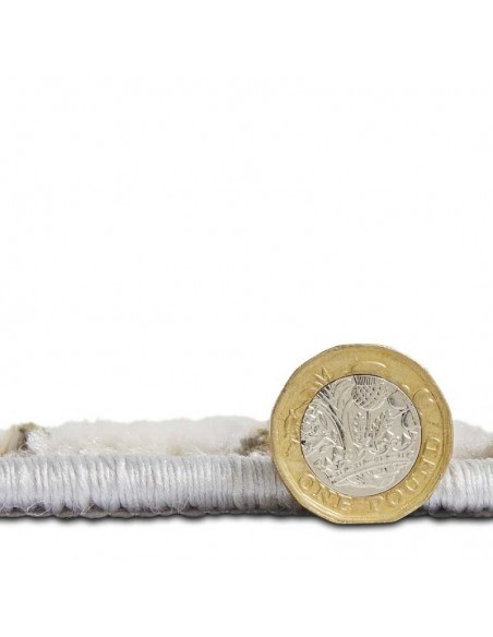 tappeto moderno Apollo 2683 Grey/Gold