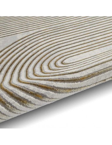 tappeto moderno Apollo 2683 Grey/Gold