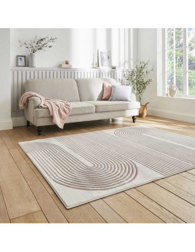 tappeto moderno Apollo 2683 Grey/Rose