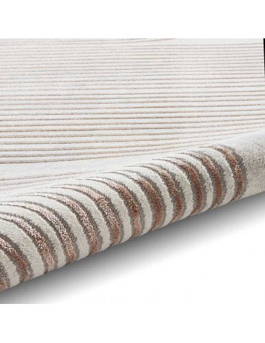 tappeto moderno Apollo 2683 Grey/Rose