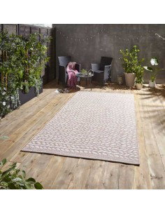 tappeto moderno Coast A055 Rose/Cream 2