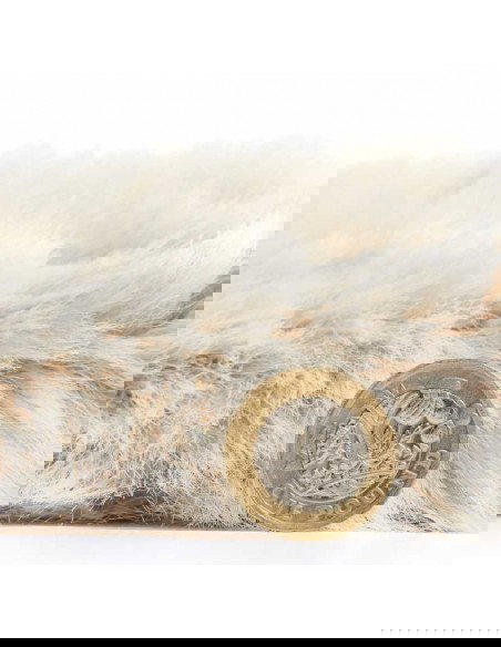 tappeto moderno Super Teddy Beige