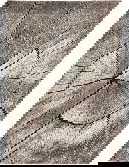 tappeto moderno Woodland 2086 Beige