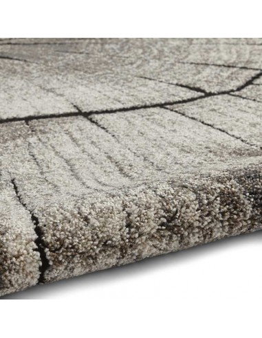 tappeto moderno Woodland 2086 Beige