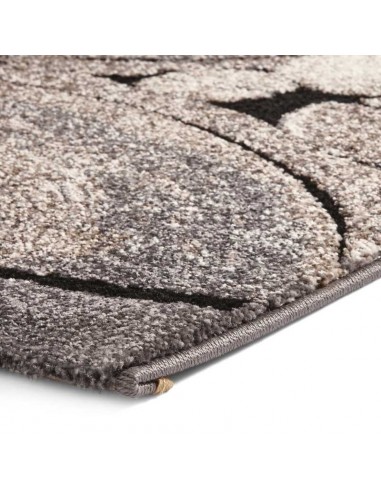 tappeto moderno Woodland 6318 Beige/Black