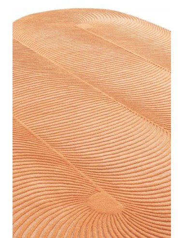 tappeto moderno GAN Giro Peach tappeto moderno GAN Giro Peach