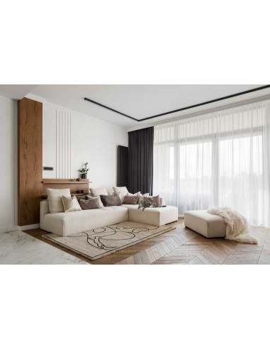 Tappeto moderno Cats Ivory - Collezione Hand Made - Carpet Decor - 95% viscosa 5% lana - Fatto a mano in India - 160x230, 200x30
