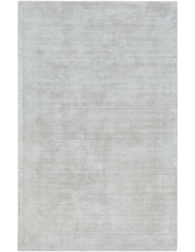 Tappeto moderno grigio chiaro Tere, collezione Hand Made, 100% viscosa, fatto a mano in India.