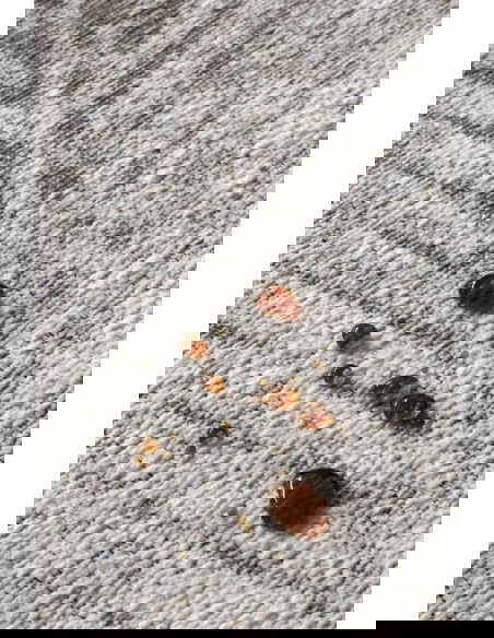 Tappeto moderno lavabile in lavatrice Java Ivory della collezione Magic Home di Carpet Decor - 160x230 cm, 200x300 cm, spessore 